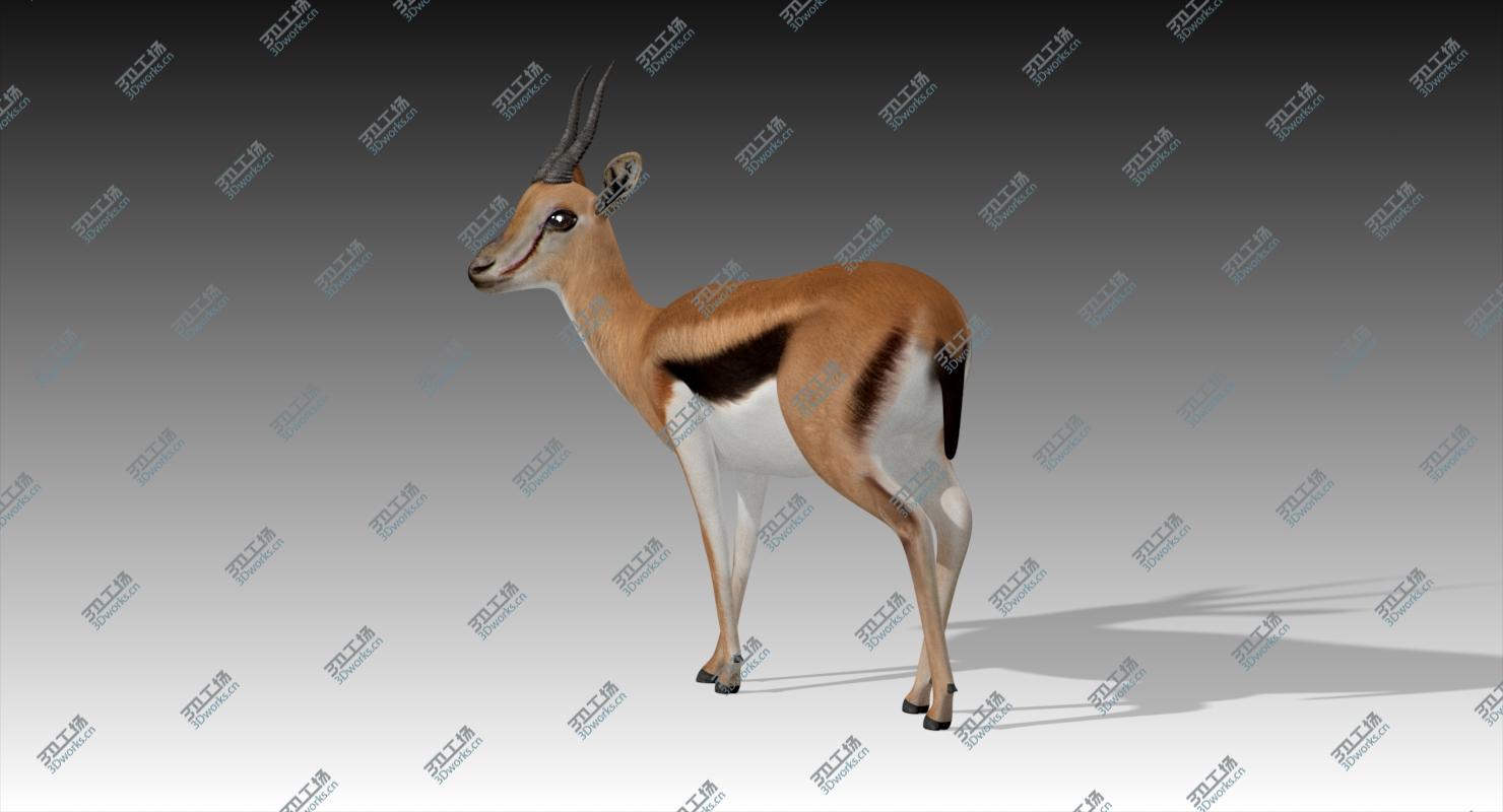 images/goods_img/2021040162/3D Gazelle Rigged/4.jpg